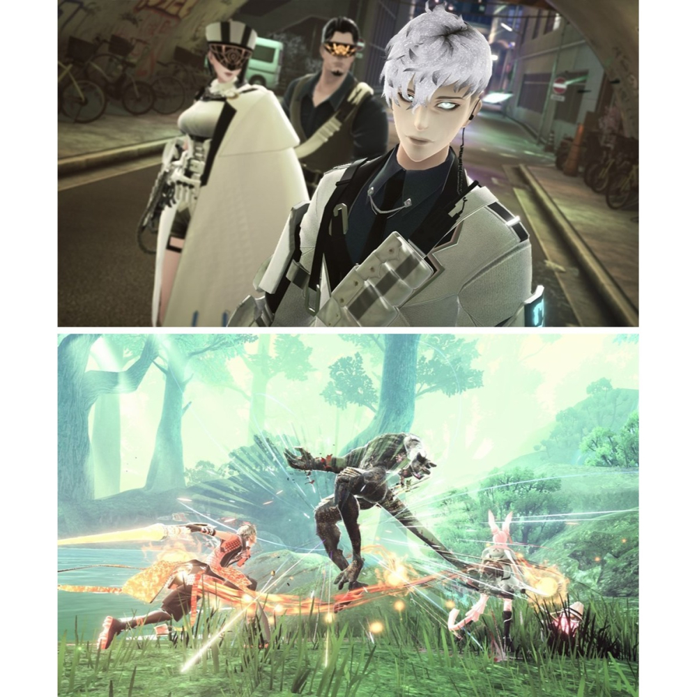 佳里金佳人｜NS雷納提斯中文-細節圖6