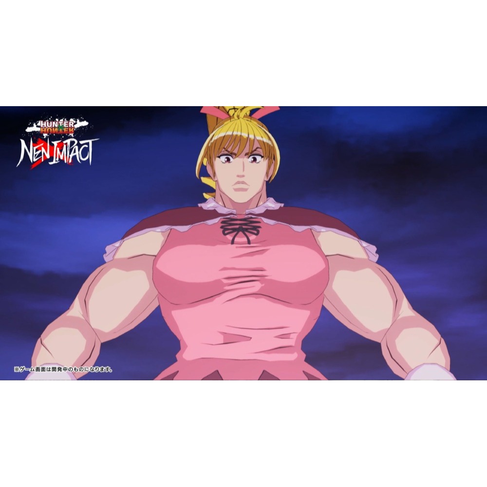 佳里金佳人｜NS獵人HUNTER x HUNTER 念能力衝擊  亞中文版-細節圖5