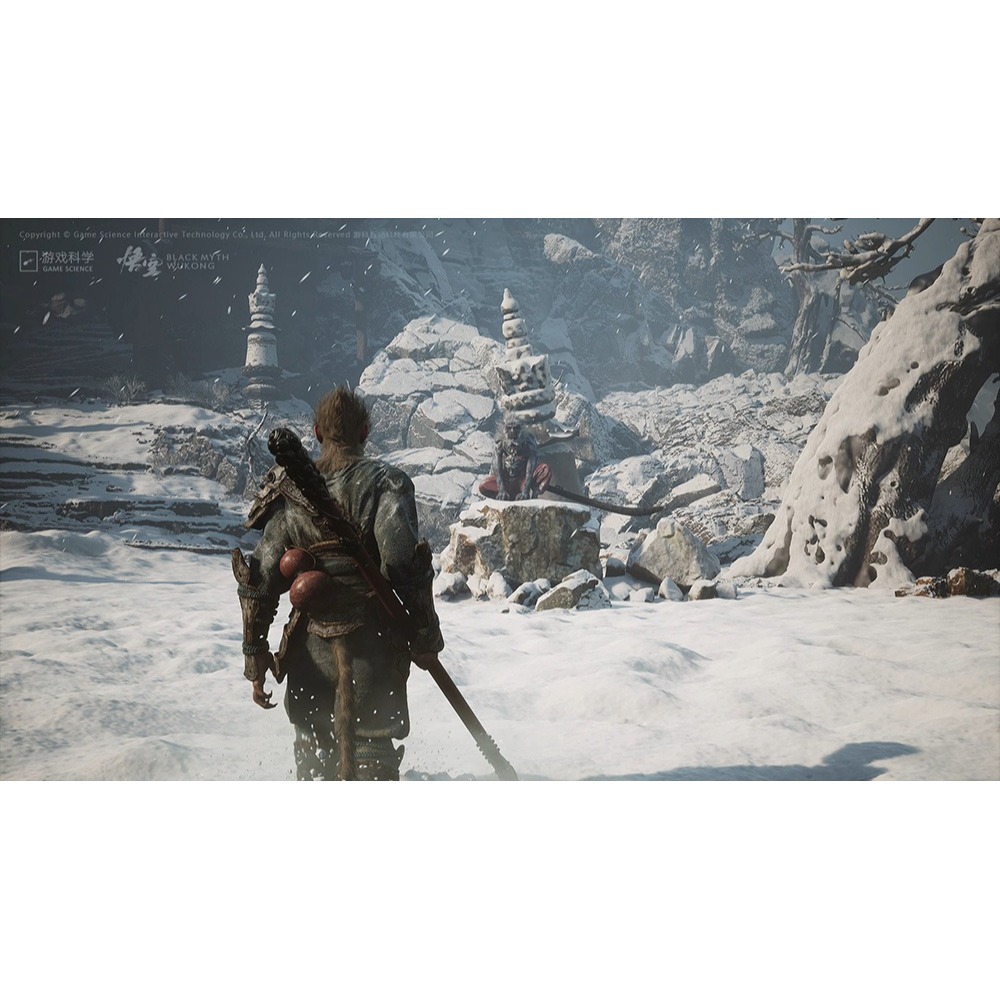 佳里金佳人｜PS5 黑神話悟空 中文版-細節圖5