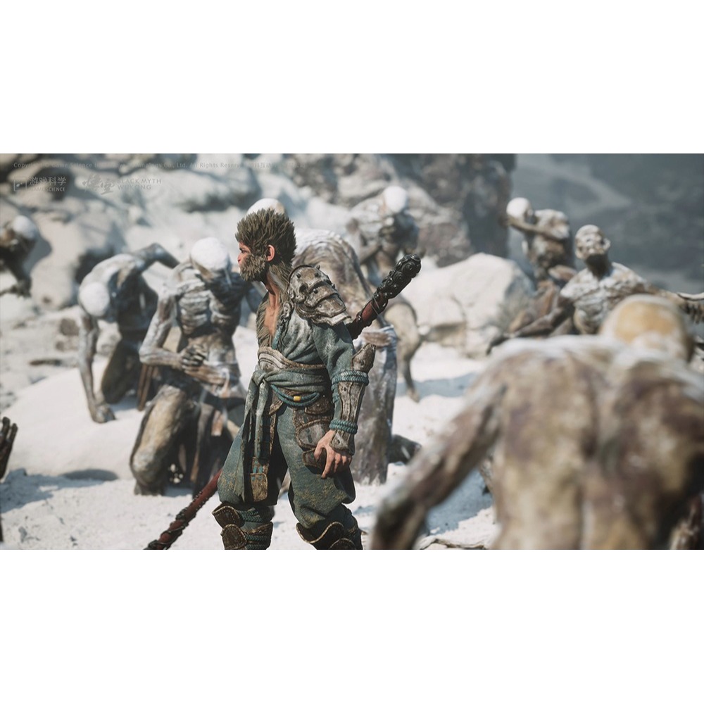 佳里金佳人｜PS5 黑神話悟空 中文版-細節圖7