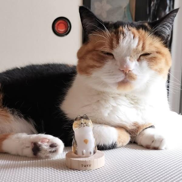 うちの子のけだまだま 毛小孩的毛球 貓毛收納罐 扭蛋 全套6款-細節圖2