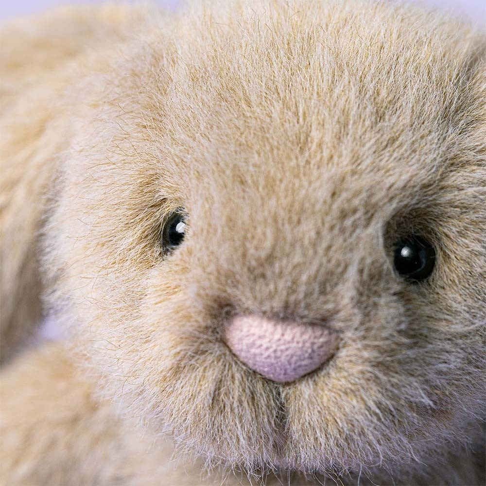 Jellycat 15公分高 燕麥色兔子-細節圖4