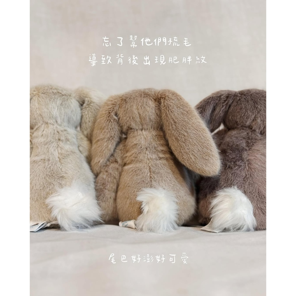Jellycat 15公分高 燕麥色兔子-細節圖8