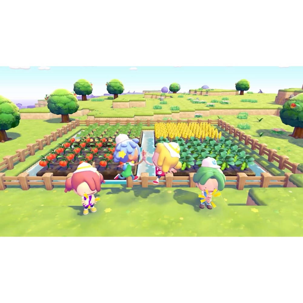 NS2 《Pokémon Pokopia》日版中文字幕(鑰匙卡)-細節圖6