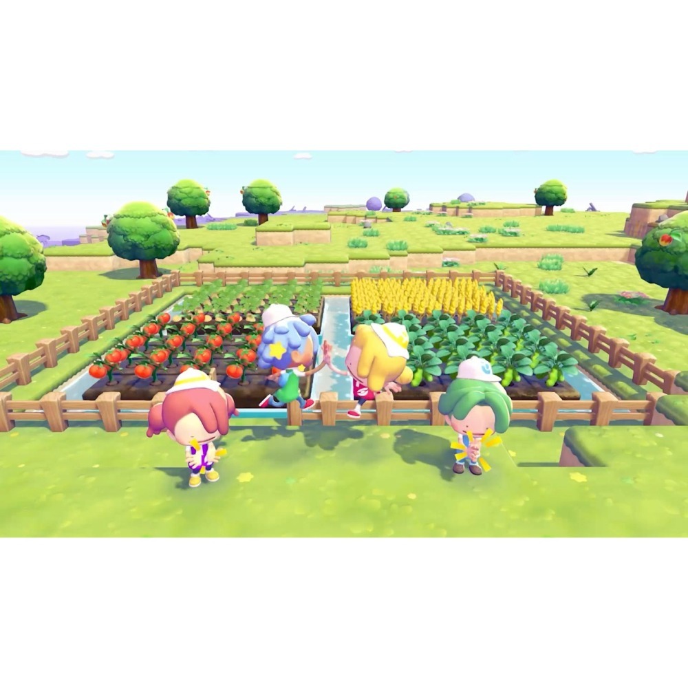 NS2 《Pokémon Pokopia》日版中文字幕(鑰匙卡)-細節圖6