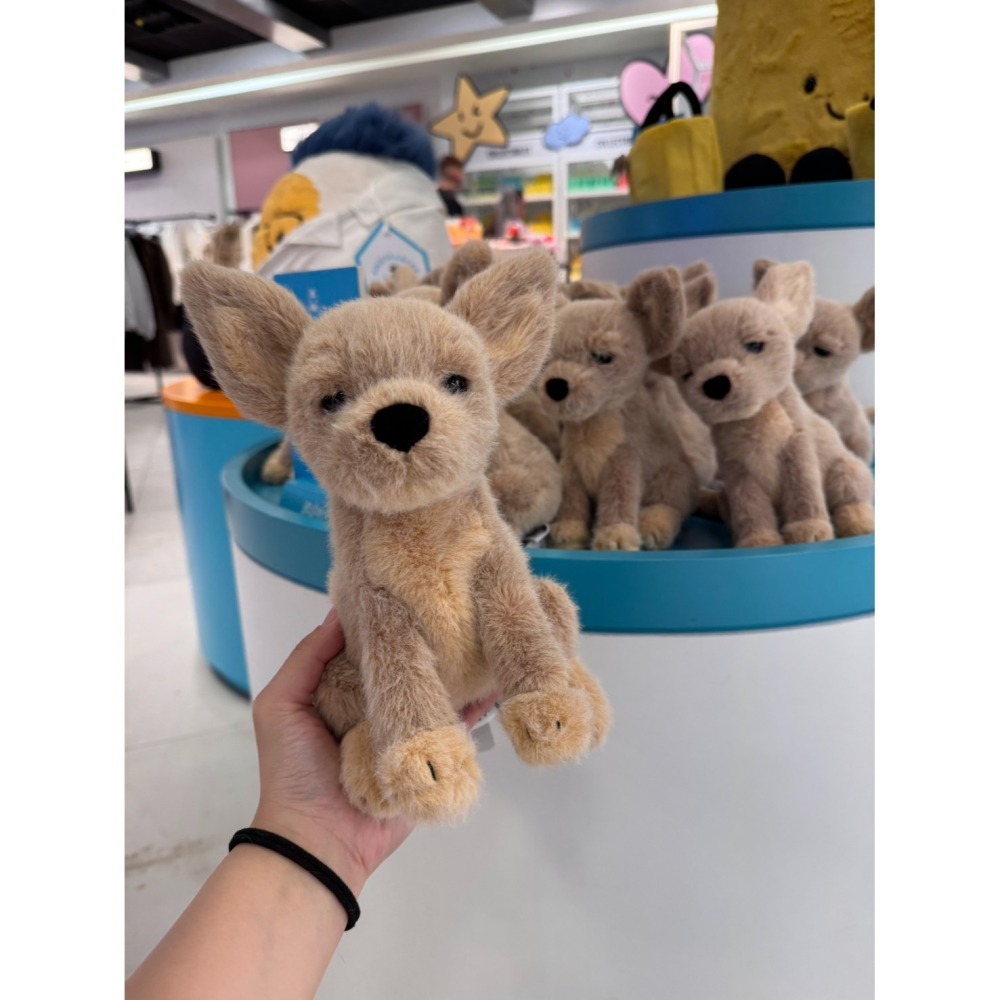 Jellycat 22公分高 Yapsby 吉娃娃 玩偶 保證正品-細節圖6