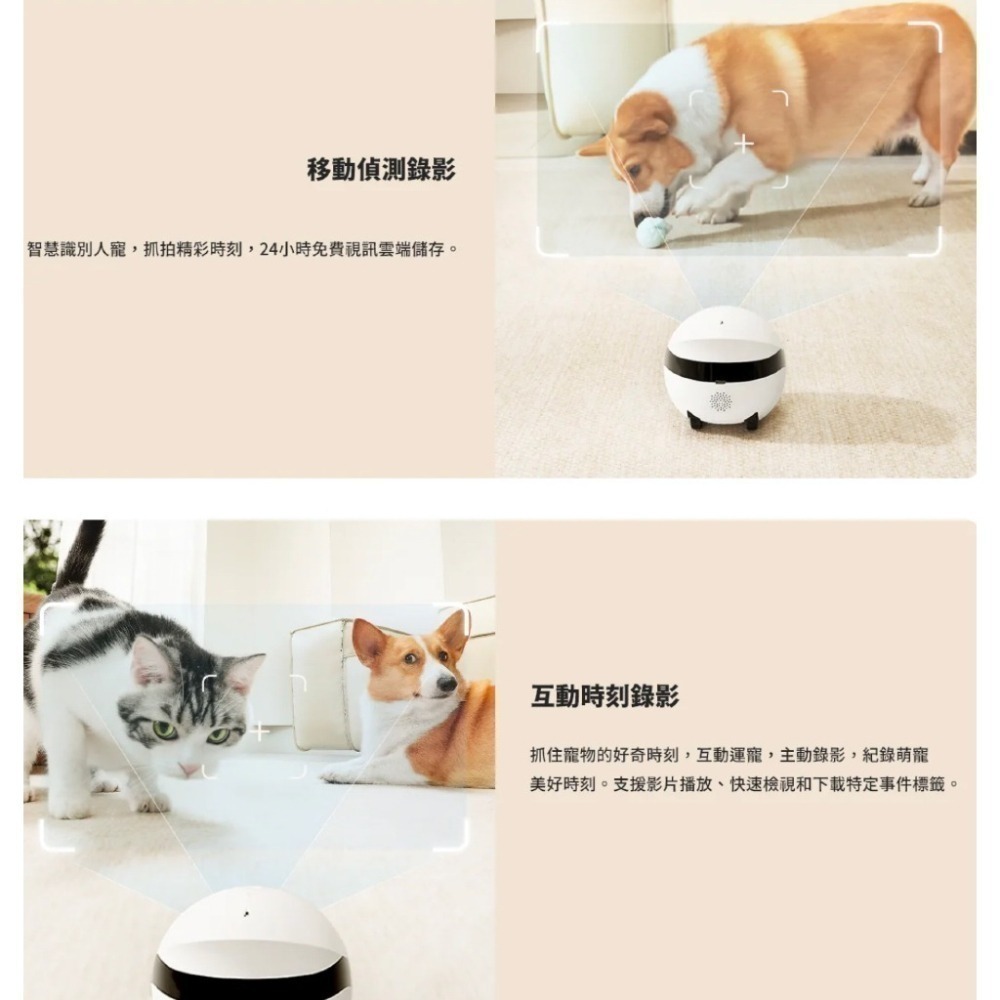 《 enabot 台灣代理非水貨 原廠 可遙控 》ROLA mini 智慧居家 攝影機 寵物攝影機 家庭安全防護-細節圖4