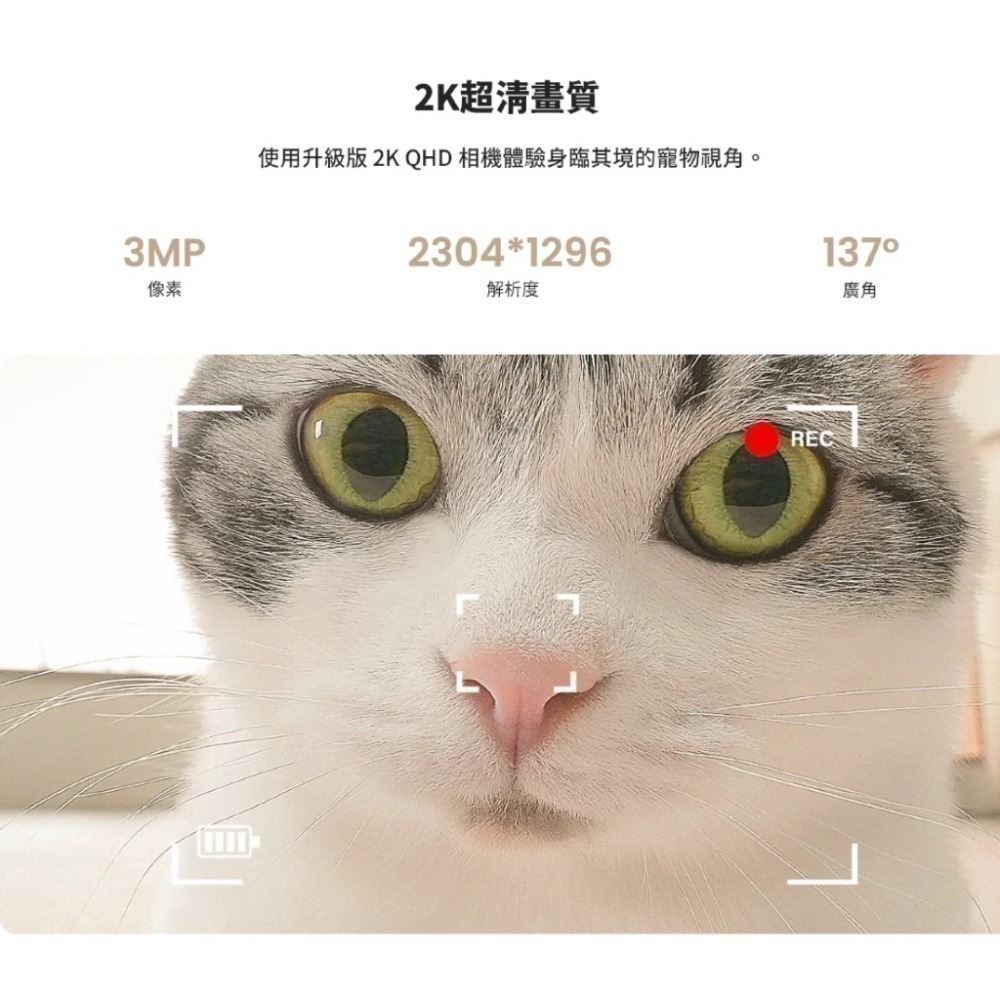 《 enabot 台灣代理非水貨 原廠 可遙控 》ROLA mini 智慧居家 攝影機 寵物攝影機 家庭安全防護-細節圖6