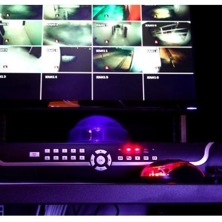 《 免運 公司貨 》WD 紫標 4TB NVR 監控系統專用硬碟 攝影機硬碟 硬碟 監控-細節圖2