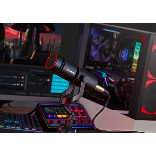 《 現貨 台灣出貨 原廠 可刷 開發票 》圓剛 AM330 黑鳩 動圈 錄音 麥克風 XLR 動圈麥克風-細節圖4