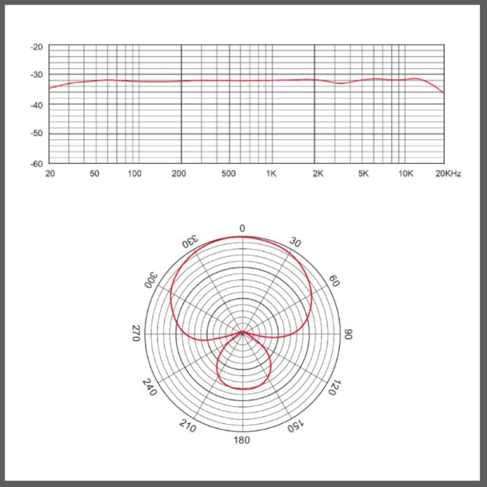 《 現貨 台灣出貨 公司貨 開發票 》TASCAM 達斯冠 TM-250U 電容式 USB 桌上型 麥克風-細節圖5