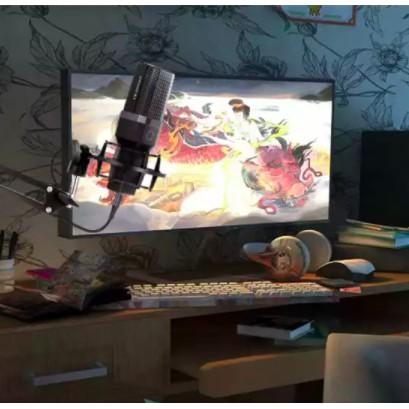 《 免運 台灣出貨 公司貨 開發票》Yanmai 突音 MicPro X1 USB 遊戲 直播 麥克風 相容 手機 電腦-細節圖3