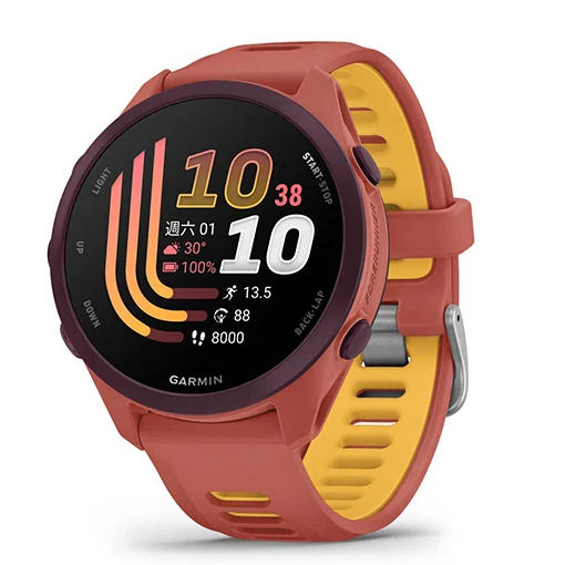 《 Garmin 智能手錶 GPS 入門級 跑錶》Forerunner 170 42mm 智慧手錶 數位錶 FR170-規格圖1