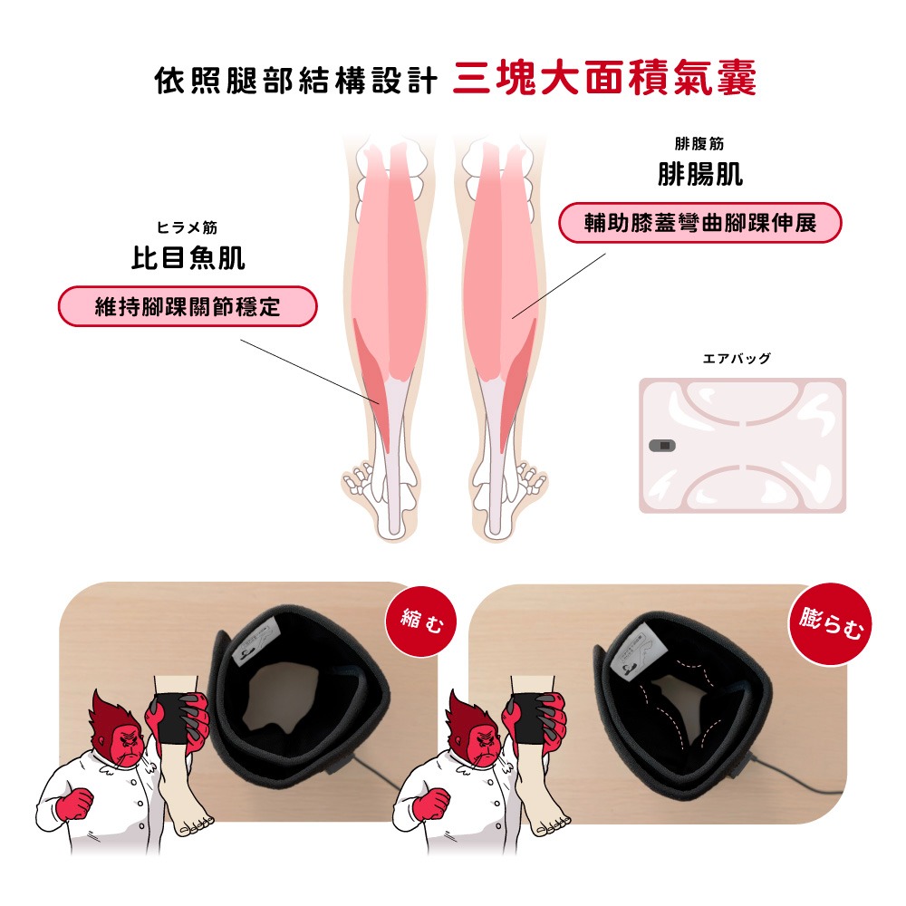 《 日本 Doshisha 原廠貨》超級猩猩之握 SGF-2401 腿部按摩器  按摩器 舒壓 放鬆 出國 旅行 久站-細節圖5