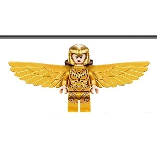 LEGO 76157 神力女超人 SH634 (無武器)