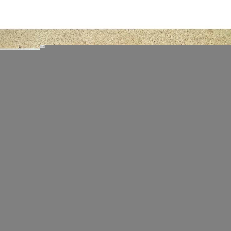 王品集團 西堤餐券 全省通用券-細節圖2