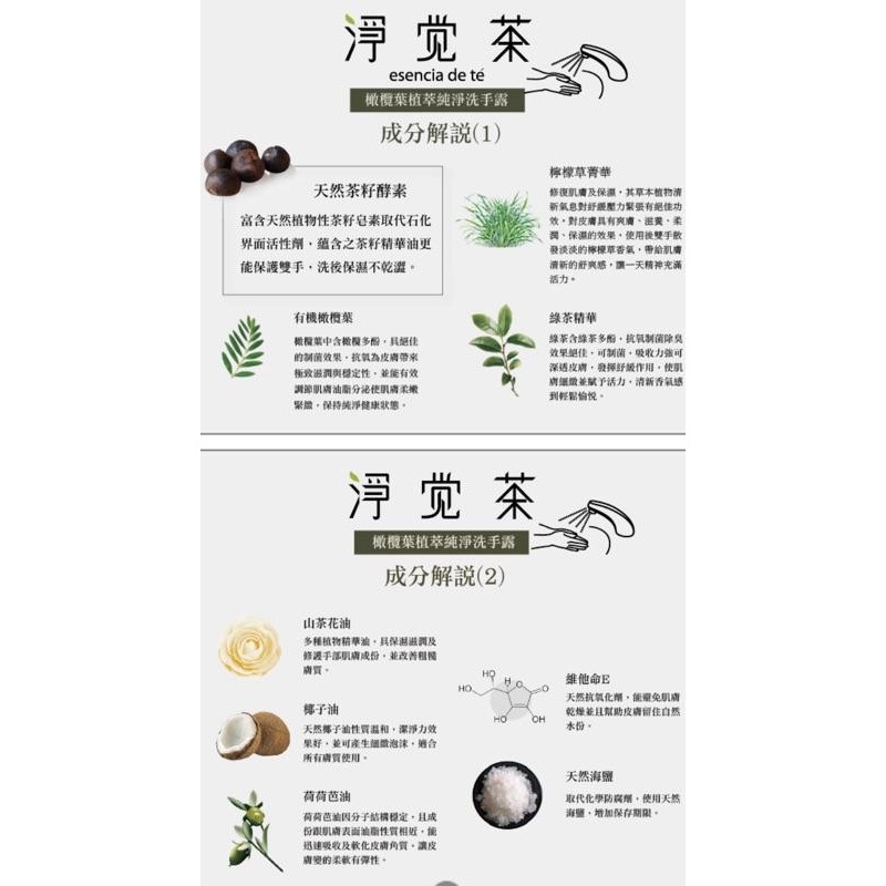 茶寶 天然茶籽植萃純淨洗手露 350ml 防疫必備-細節圖3