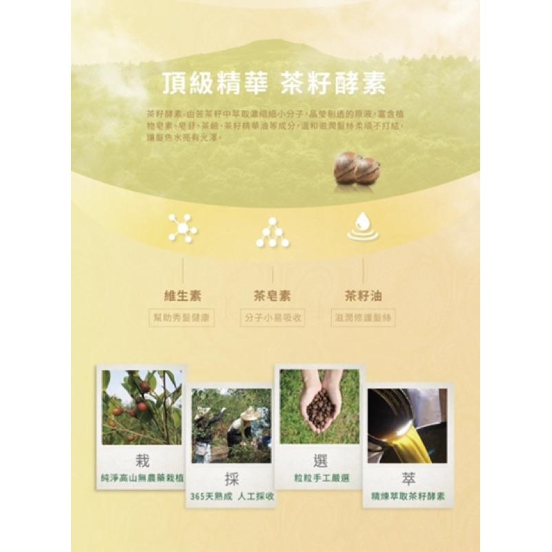 茶寶。金萃瞬澤茶籽護髮素 50ml 免沖洗-細節圖3