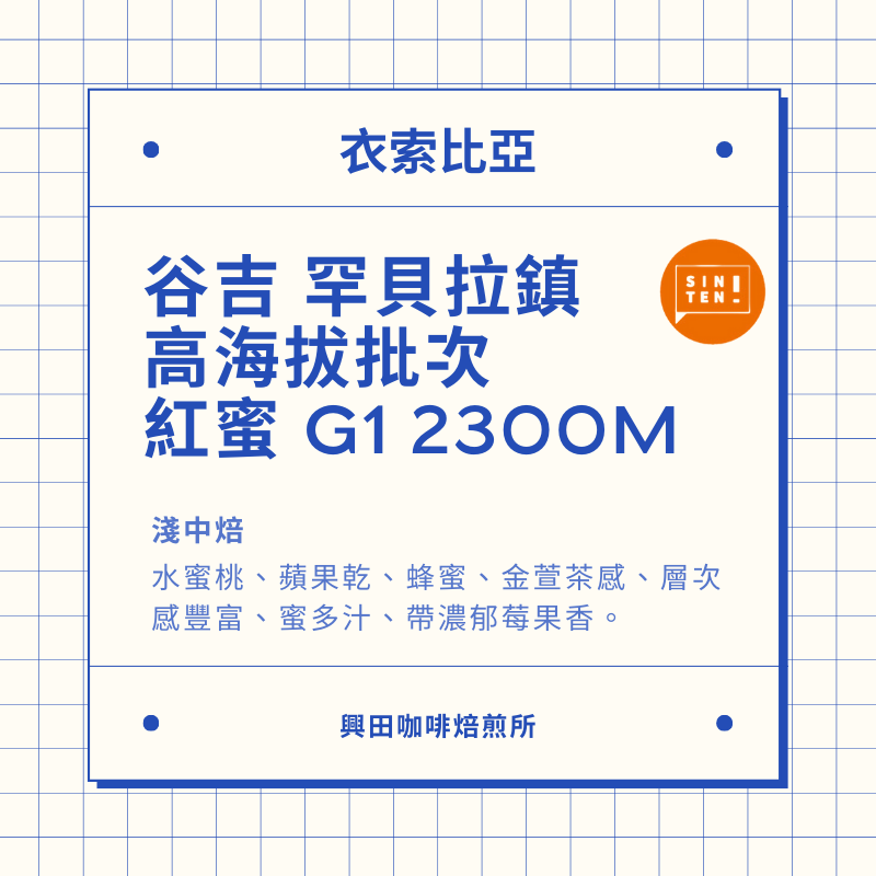 🧡衣索比亞 日曬 蜜處理 鮮烘精品咖啡豆 【興田鮮烘咖啡豆】精品咖啡豆-規格圖6