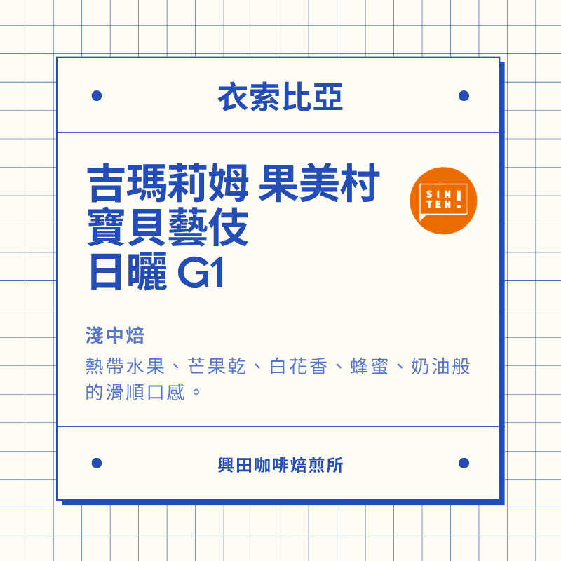 🧡衣索比亞 耶加雪菲/古吉 藝妓 精品咖啡豆 (各種不同產區) 【興田鮮烘咖啡豆】精品咖啡豆-規格圖1