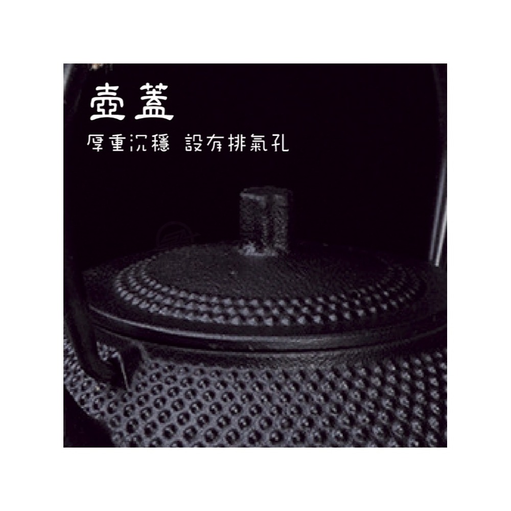 日式精雕鑄鐵茶壺(800ml)-細節圖2