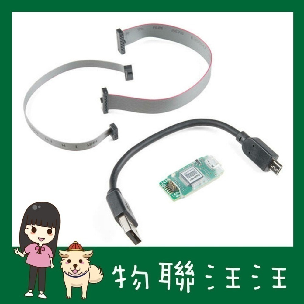 [物聯汪汪] 附發票~Segger J-Link EDU Mini除錯燒錄器教育版(Micro USB/Type C版)-細節圖5