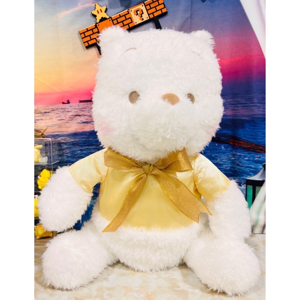 ✨乖乖日貨連線✨小熊維尼 周邊 Disney 東京迪士尼 維尼帽 一番賞 精緻收藏-規格圖5