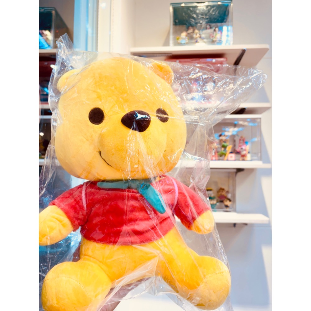 ✨乖乖日貨連線✨小熊維尼 周邊 Disney 東京迪士尼 維尼帽 一番賞 精緻收藏-規格圖5