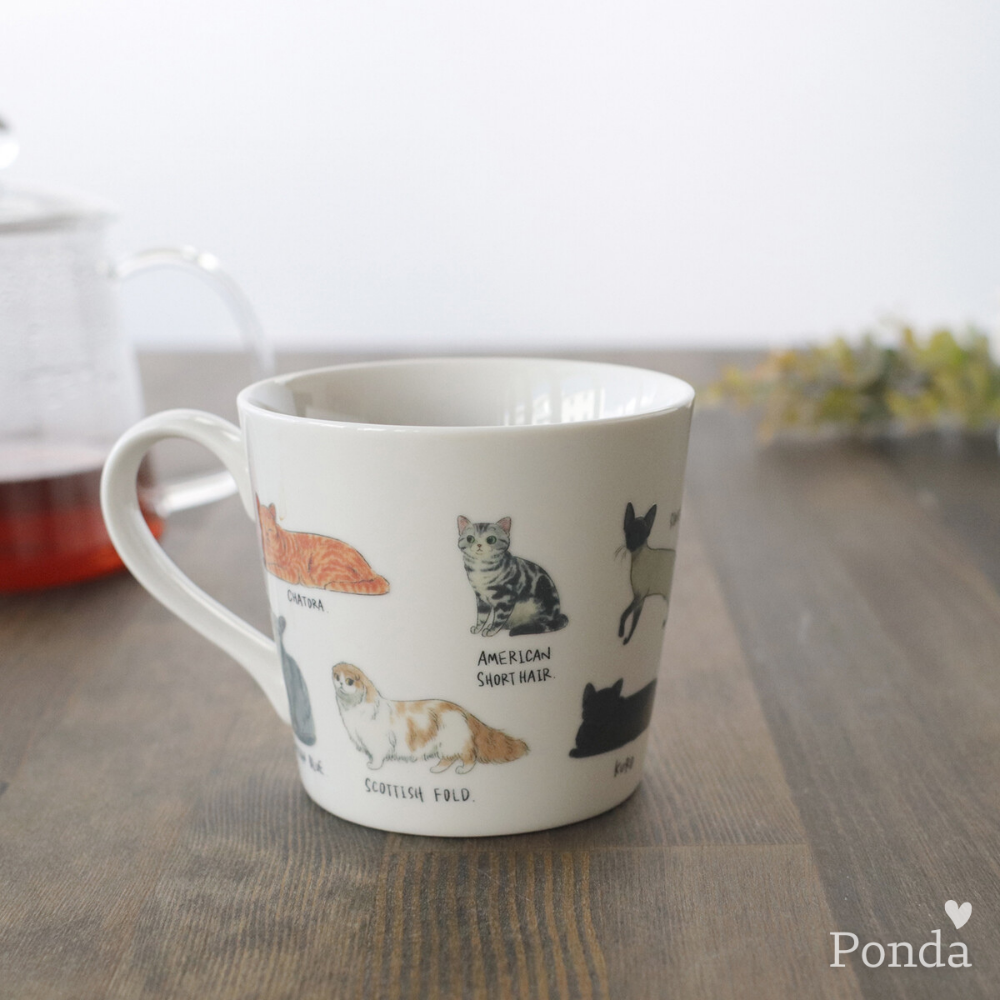 [現貨] 日本製 MARUMO TAKAGI 高木陶器 溫感變色馬克杯 多隻 貓咪 美濃燒 杯子 茶杯 送禮 禮物 禮品-細節圖8