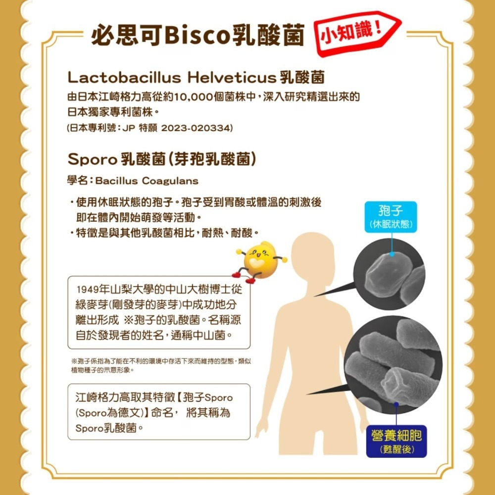 【好市多代購】格力高 綜合乳酸菌夾心餅 1包（5片） 日本製造-細節圖3