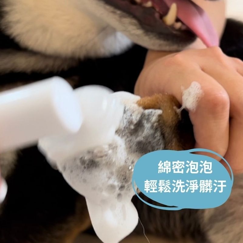 寵物潔足抗菌慕斯200ml byeTHEway 寵物潔足 貓狗洗腳 潔足泡沫寵物用品 貓狗潔足泡沫清洗 貓咪狗狗洗腳泡沫-細節圖5