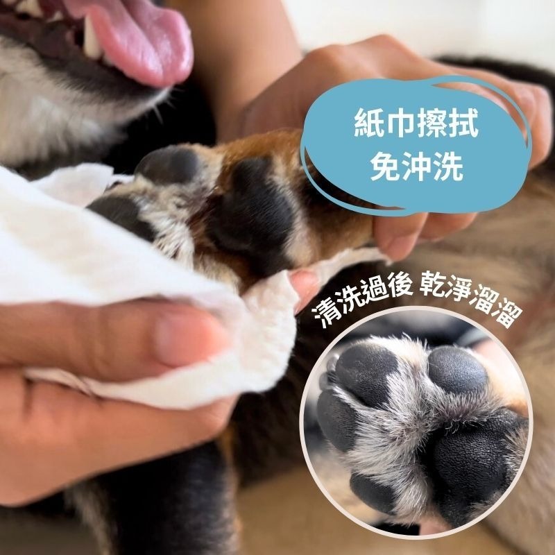 寵物潔足抗菌慕斯200ml byeTHEway 寵物潔足 貓狗洗腳 潔足泡沫寵物用品 貓狗潔足泡沫清洗 貓咪狗狗洗腳泡沫-細節圖6