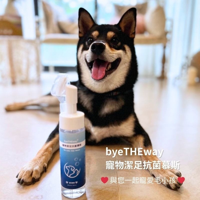 寵物潔足抗菌慕斯200ml byeTHEway 寵物潔足 貓狗洗腳 潔足泡沫寵物用品 貓狗潔足泡沫清洗 貓咪狗狗洗腳泡沫-細節圖7