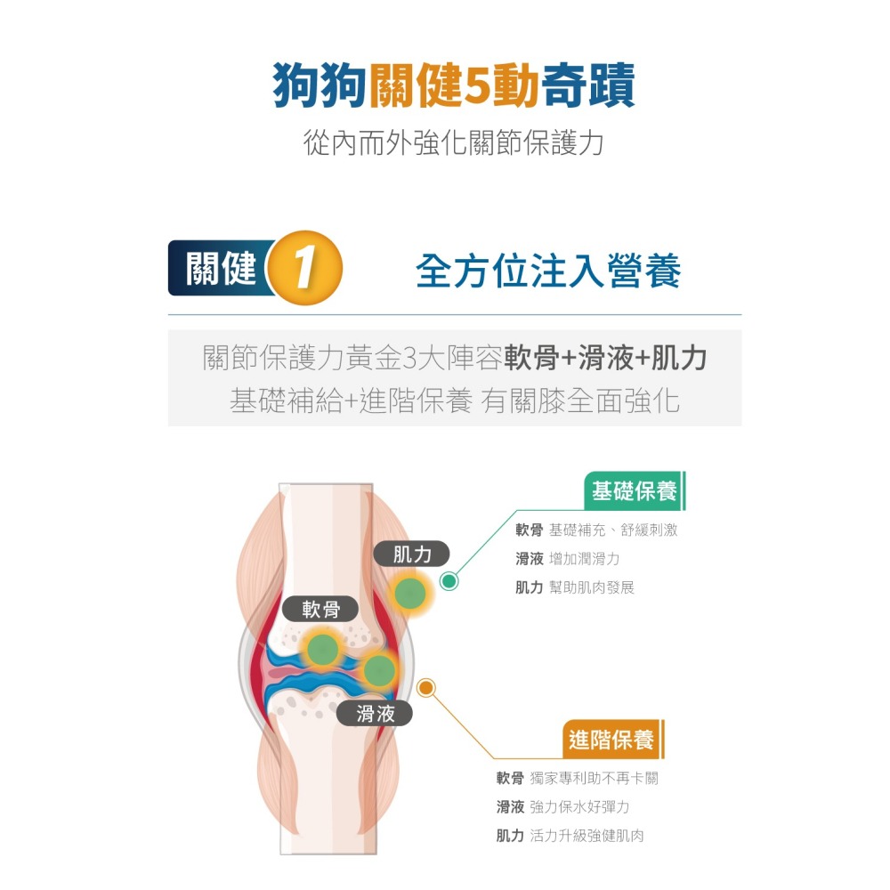 木入森 犬寶有關膝 犬用關節保健 犬用保健品 狗關節保養 狗關節保健 狗膝蓋保健 狗保健品-細節圖4