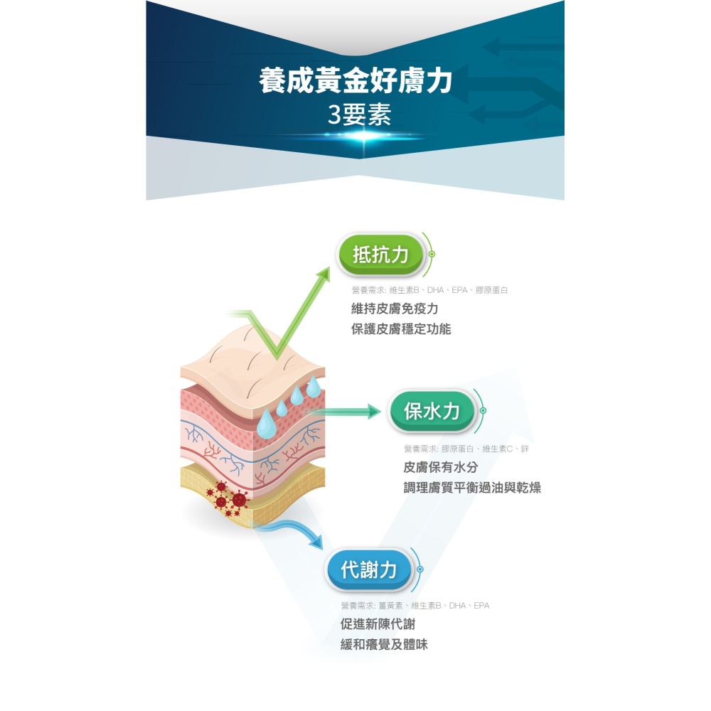 木入森 犬寶膚立好 狗狗皮膚健康 寵物保健 狗狗皮膚保健 狗狗皮膚 狗狗保健 犬用皮膚保建 膚立好-細節圖8