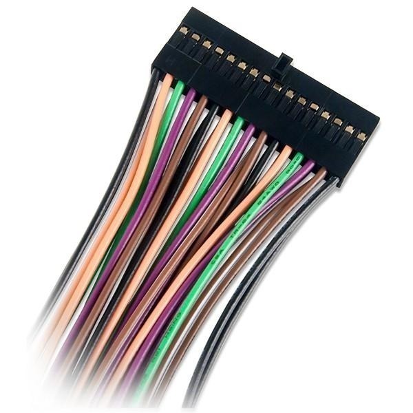 (填寫保固立即出貨)Digital Discovery 配件 │ 2x16 Flywires │ 美國原廠授權代理-細節圖2