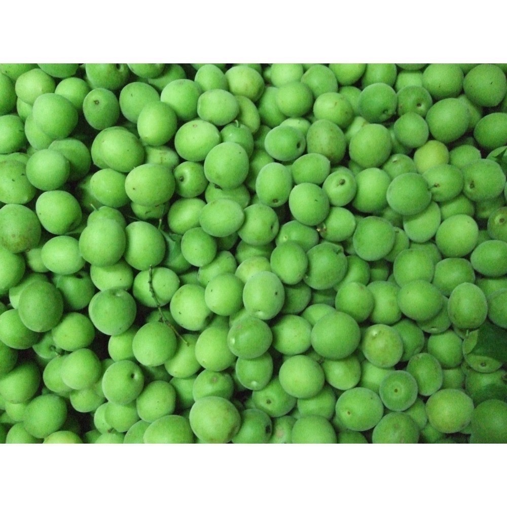 【甄農產手作】青梅酵素  800g  純果發酵-細節圖2