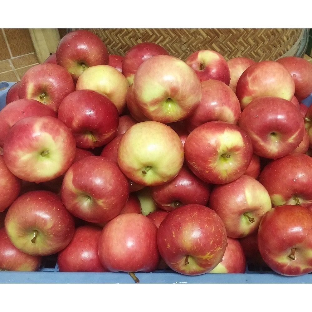 【甄農產手作】蘋果酵素 800g 超取單筆最多4瓶 純果發酵 賣場多種口-細節圖2