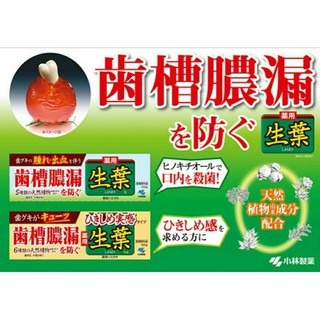 🇯🇵 小林製藥 生葉 齒槽膿漏 潔淨牙膏 牙周護理 牙膏-細節圖3