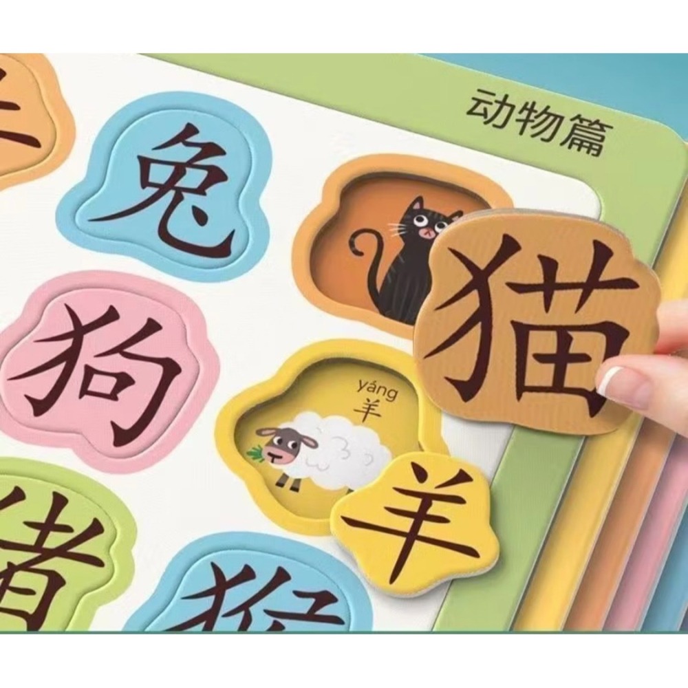趣味識字拼圖板幼兒寶寶早教漢字認字認知卡片3-6歲兒童益智玩具-細節圖11