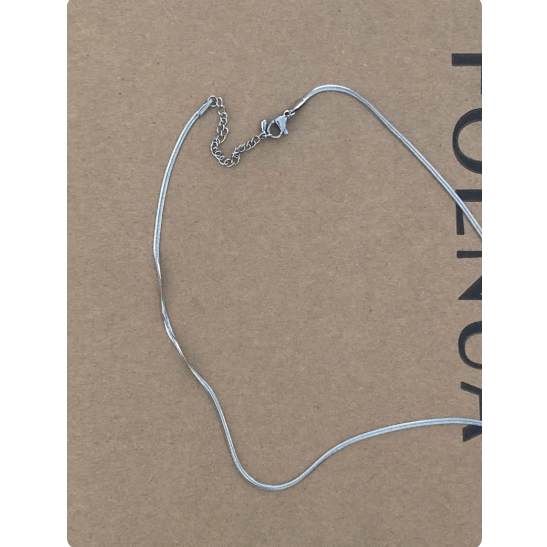 【YT SHOP】韓國｜🇰🇷｜爆款｜輕奢小眾蛇骨項鍊百搭配飾品韓系冷淡風鎖骨鏈-細節圖2