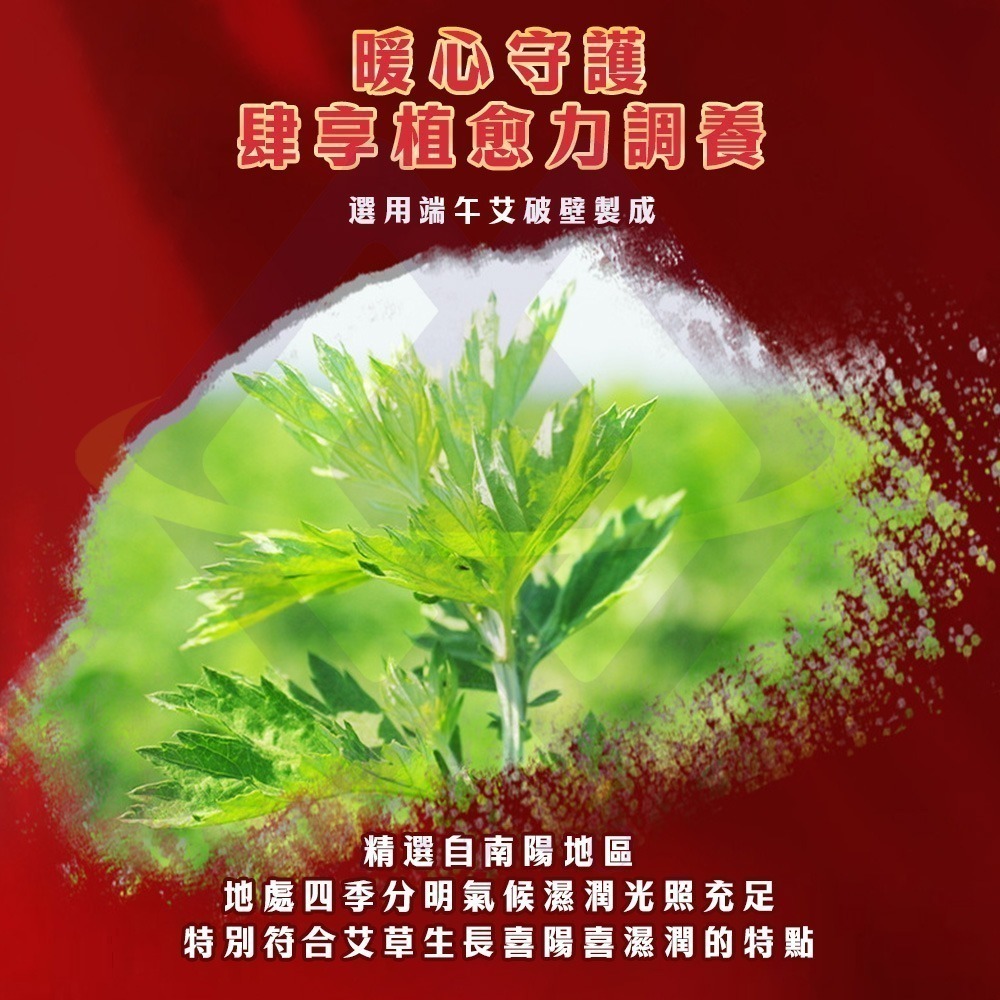 【禾統】新品上市 台灣現貨 南京同仁堂自發熱艾灸貼 艾草 艾灸貼 貼片 艾草貼布 自發熱貼 艾草穴位 肩頸 腹部 關節-細節圖4