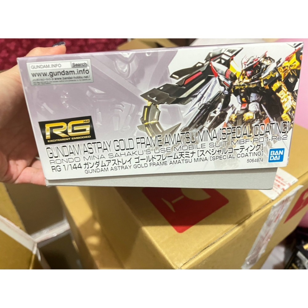 RG 1/144 異端鋼彈金色機天蜜娜-64874 魂商店萬代 PB 限定 喬巴愛模型 請先聊聊-細節圖3