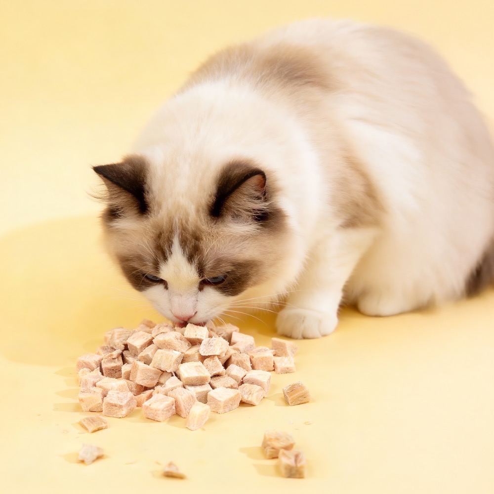 Gelovery 歐萊寵物凍乾雞肉50g/1包-細節圖2