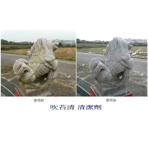 ８２折 20L吹苔清㊣可稀釋4~7倍(室外環保清潔劑、清洗地板外牆壁、青苔黴菌藻類清潔用品、清除霉菌小黑蚊過敏源-細節圖5