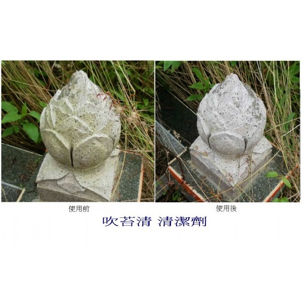 ８２折 20L吹苔清㊣可稀釋4~7倍(室外環保清潔劑、清洗地板外牆壁、青苔黴菌藻類清潔用品、清除霉菌小黑蚊過敏源-細節圖8