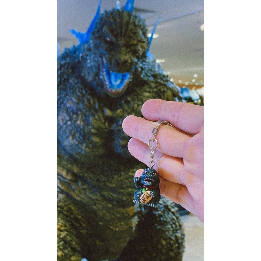 日本代購 想買就買٩(๑> ₃ <)۶з-細節圖4