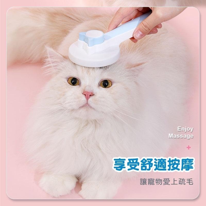 鴻嘉源 PW6 造型寵物推毛梳子 10mm針梳 貓咪梳毛 梳毛器 寵物針梳 寵物梳子 除毛刷 除毛梳 梳毛刷-細節圖9