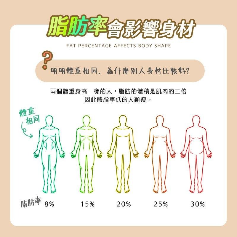 鴻嘉源 BF1八電極智慧型體脂計 一年保固 八電擊體脂秤 四電極體脂計 體脂秤 體重計 體重測量 繁體中文 USB 減重-細節圖4