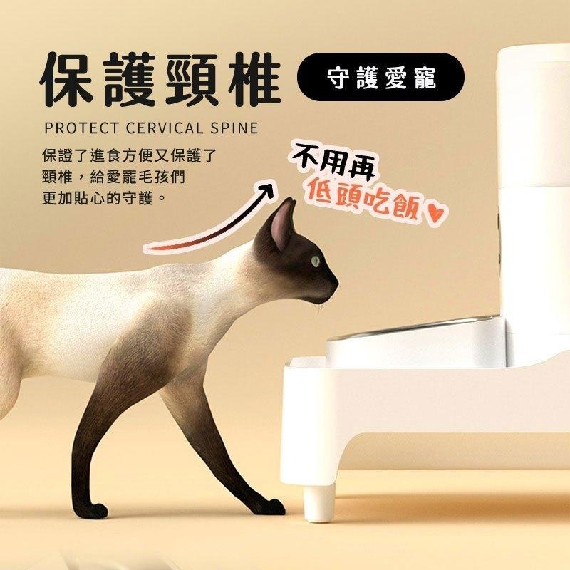 【HJY】 PET7寵物餵食器增高架 寵物護頸增高架 餵食器架子 餵食器腳架 塑膠支架 增高架 支撐架 寵物碗架-細節圖4